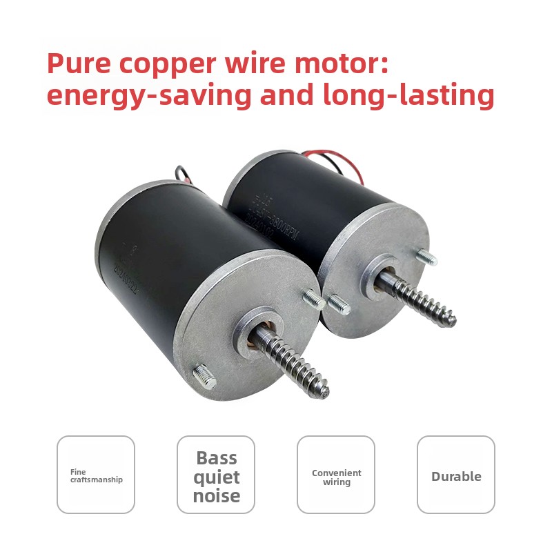 Motor 24V 48V yang Tahan Lama  - Crane Claw Motor ulasan dan harga